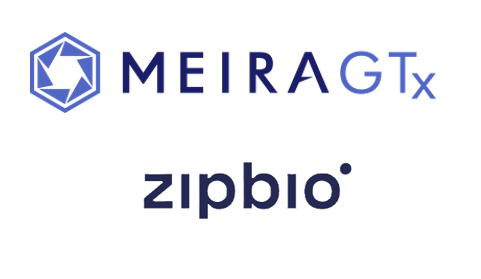 MeiraGTx Licenses ZipBio’s Protein Therapeutic Technology for GA
